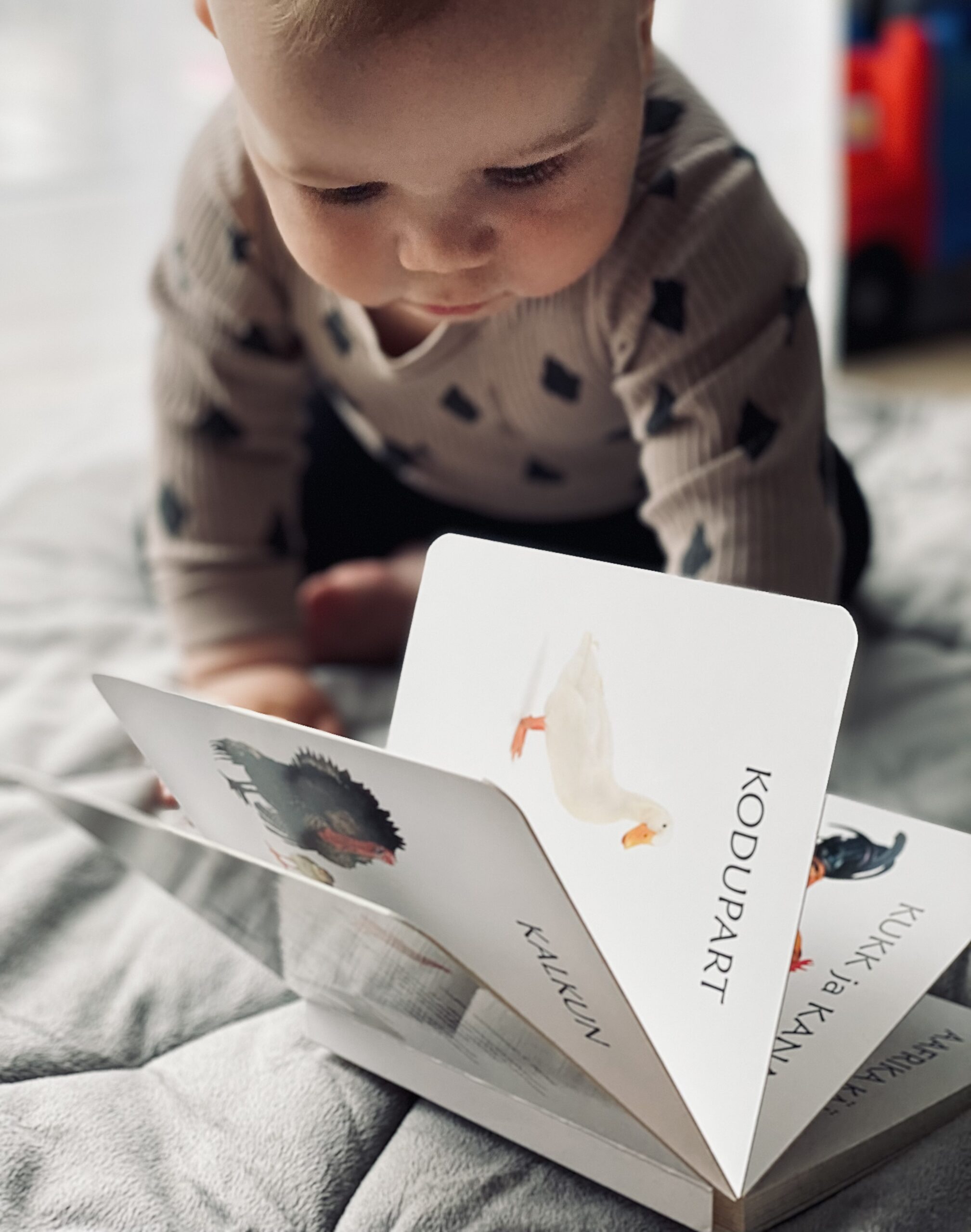 Realistlike fotodega raamat