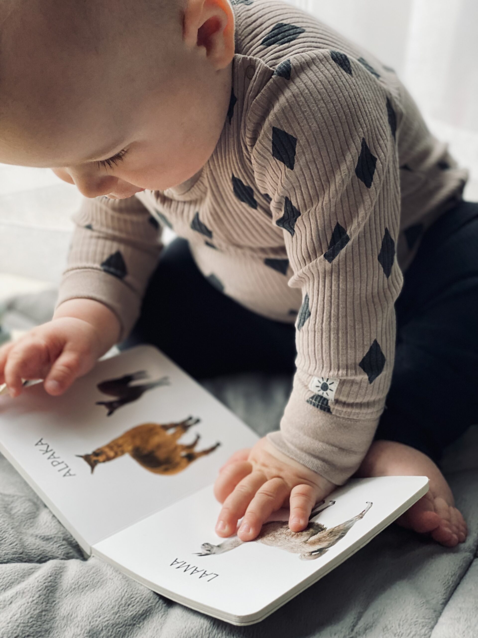 Realistlike fotodega raamat