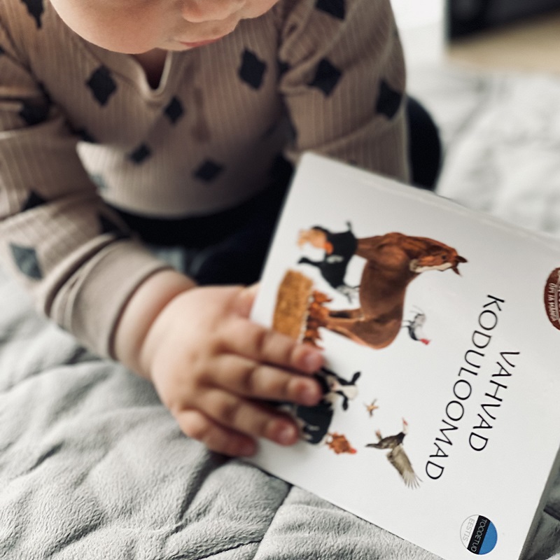 Realistlike fotodega raamat