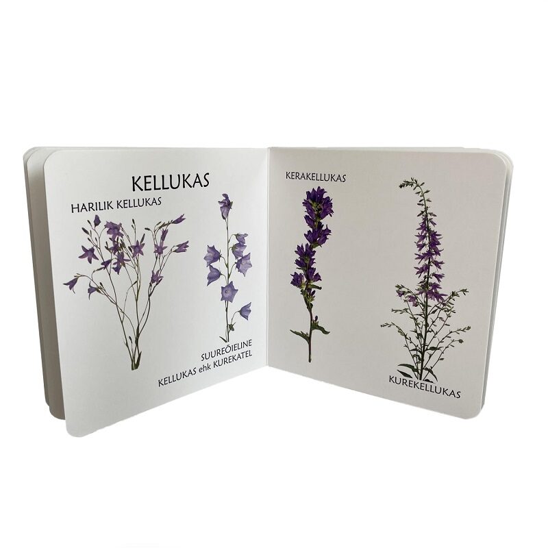 Realistlike fotodega raamat