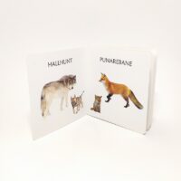 Realistlik raamat lastele