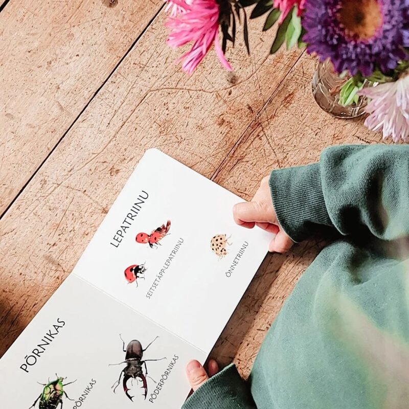 Realistlik raamat "Väike putukaraamat"
