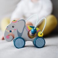 Elevandiga motoorikakeskus