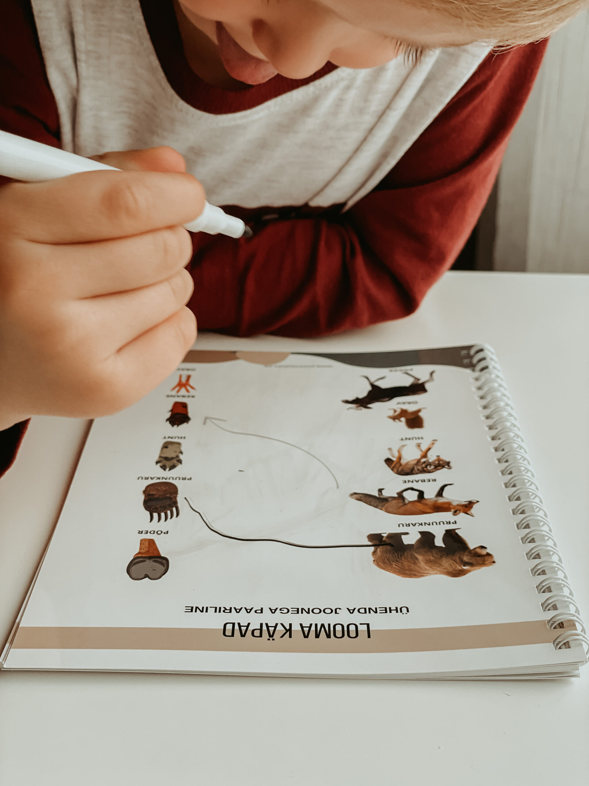 korduvkasutatav tegelusvihik metsloomad