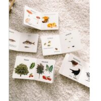 Realistlik raamat putukatest