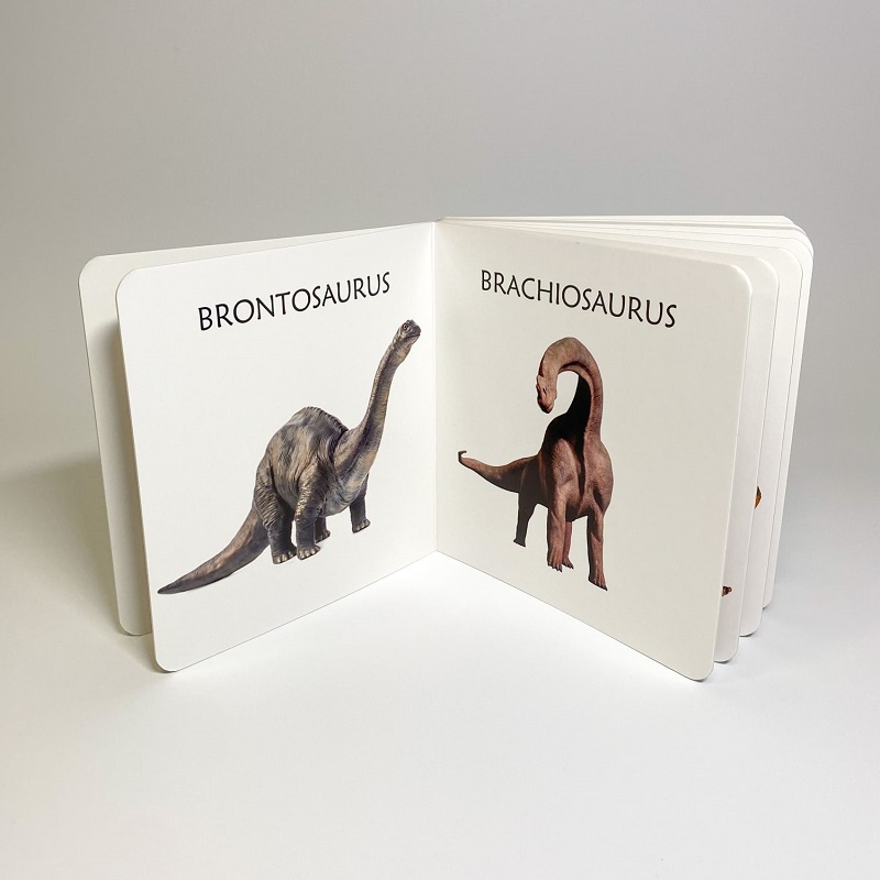 realistlike piltidega raamat dinosaurustest