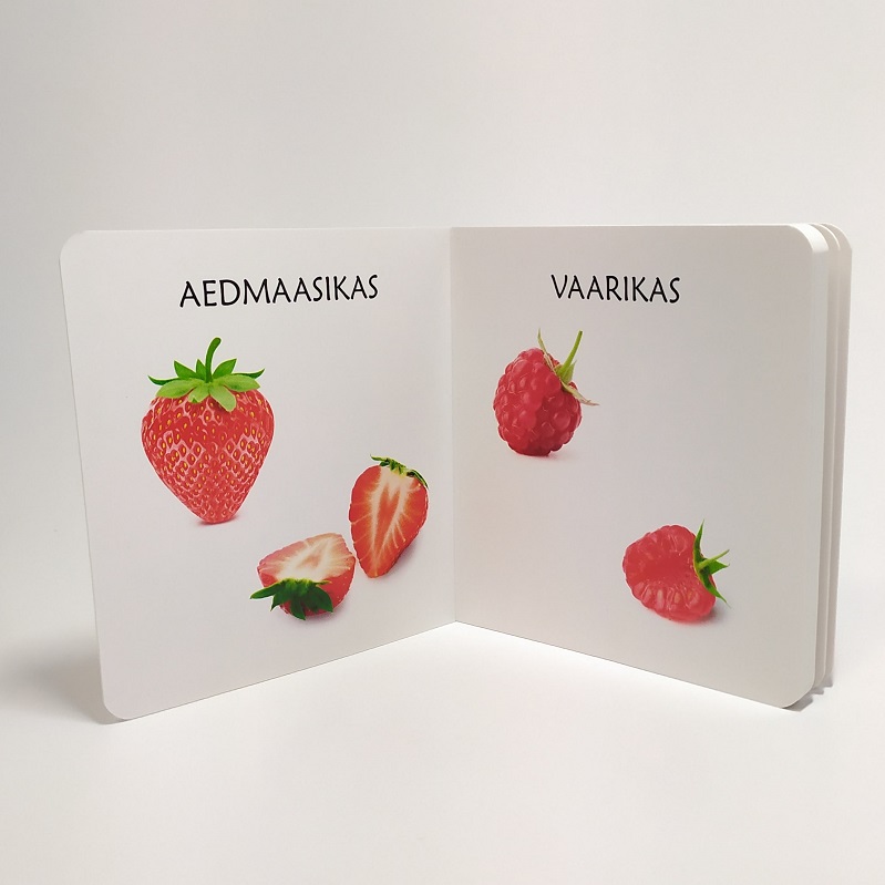 Realistlik raamat marjadest