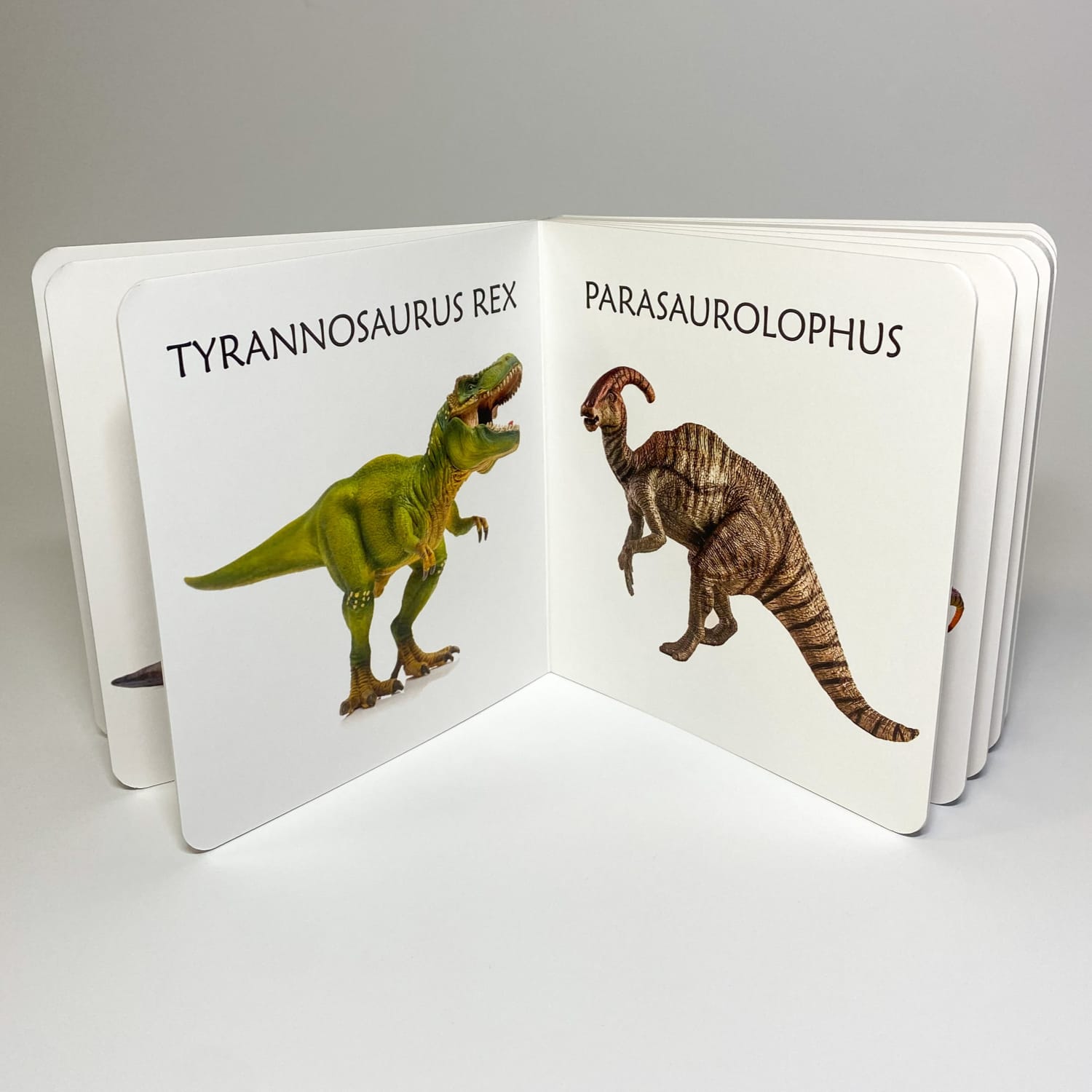 realistlike piltidega raamat dinosaurustest