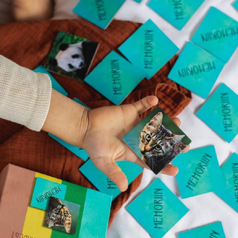 realistlike piltidega memoriin