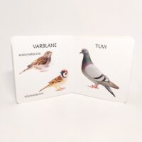 vahvad_linnud_4.pilt