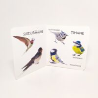 vahvad_linnud_2.pilt