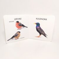 vahvad_linnud_3.pilt