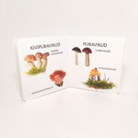 realistlike fotodega seeneraamat