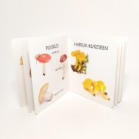 realistlike fotodega seeneraamat