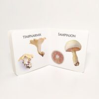 realistlike fotodega seeneraamat