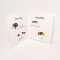 väike_putukaraamat_2.pilt