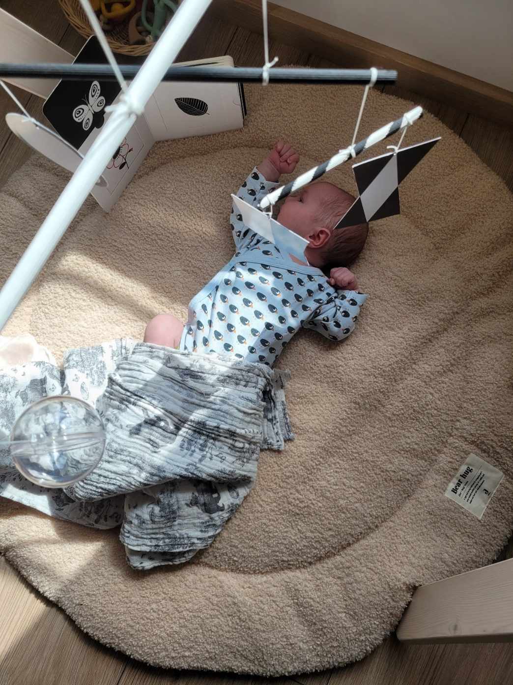 montessori õhukarussell munari beebile beebimänguasjad katsikuks kingiidee beebi areng montessori õhukarussell munari beebile beebimänguasjad katsikuks kingiidee beebi areng