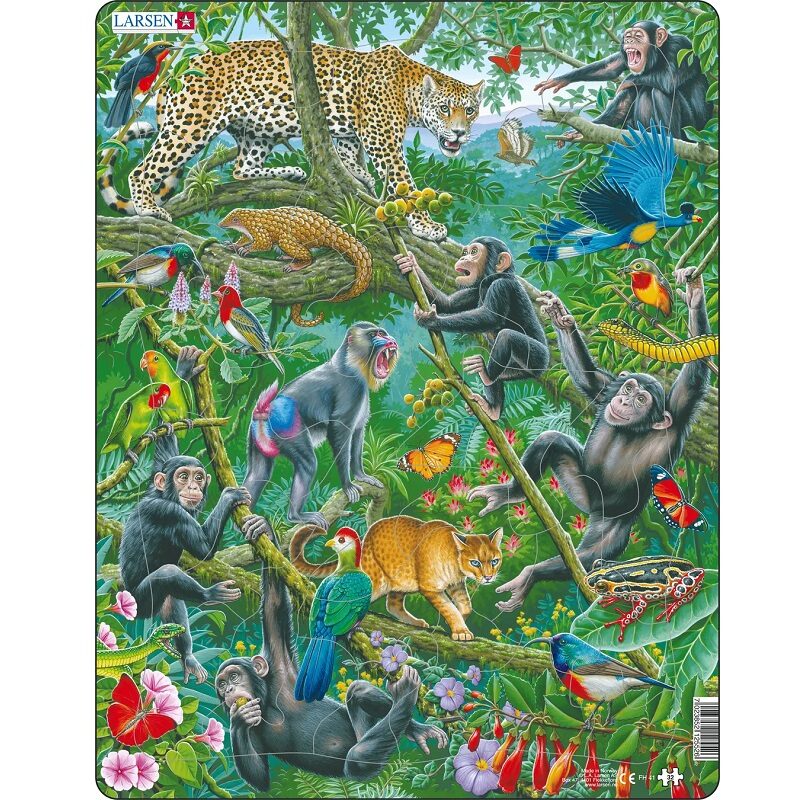 Aafrika vihmametsaga pusle