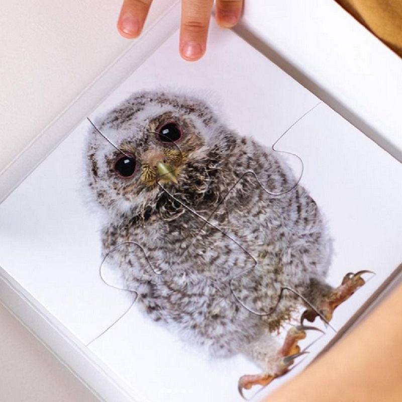 lindude realistlikud pusled