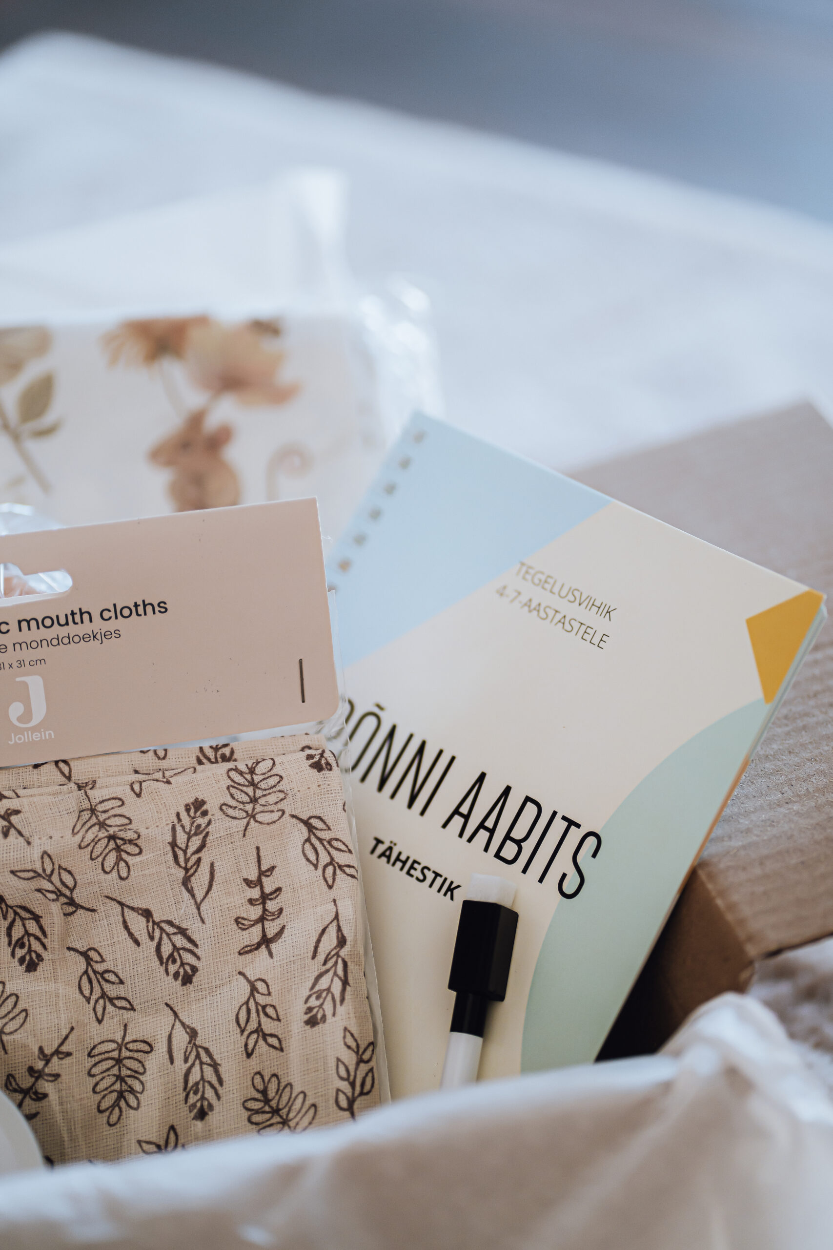 korduvkasutatav töövihik tähestik tähed häälikud keeleõpe töövihik kooliminejale tähed selgeks