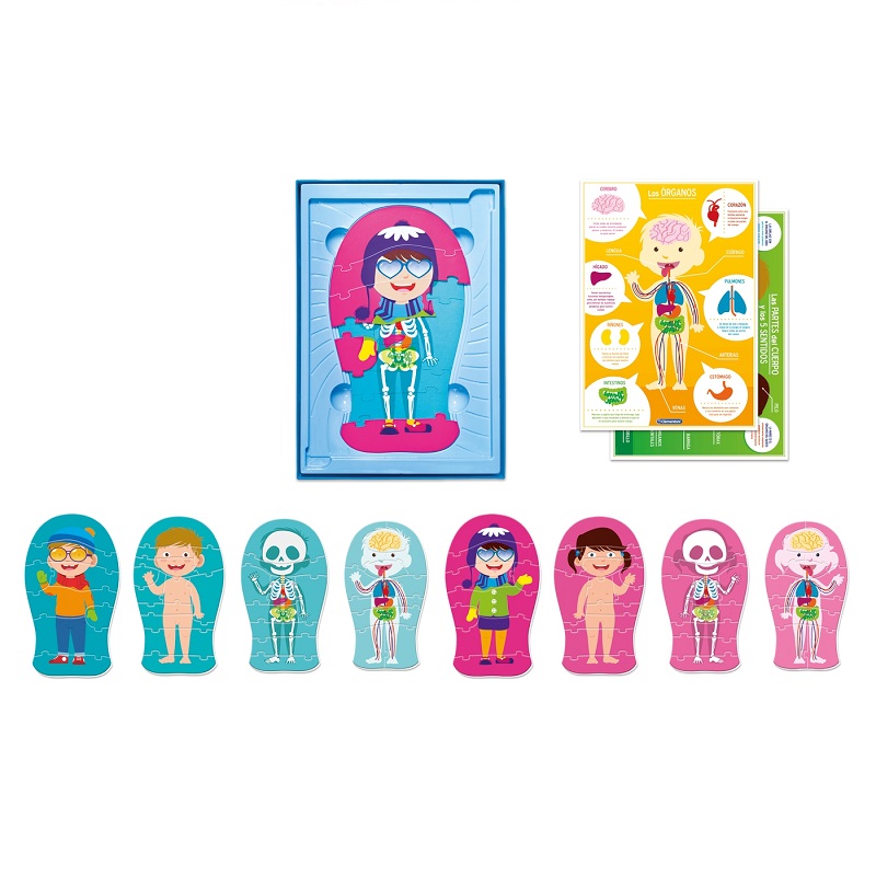 anatoomilised pusled