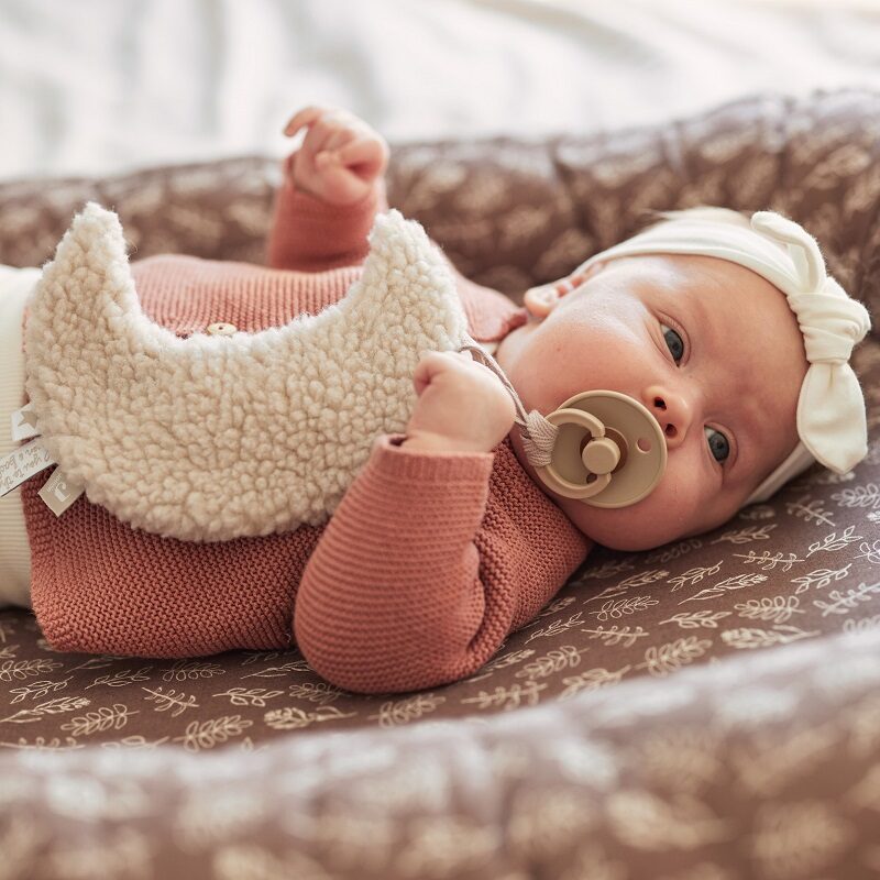 kaisulapp lutihoidja