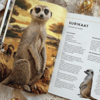 elutruud loomad aafrika realistliku sisuga raamat