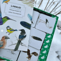 realistlik lindude memoriin lauamäng lastele linnuraamat mis lind on