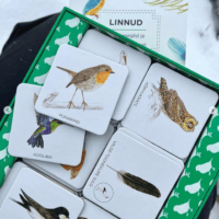 realistlik lindude memoriin lauamäng lastele linnuraamat mis lind on