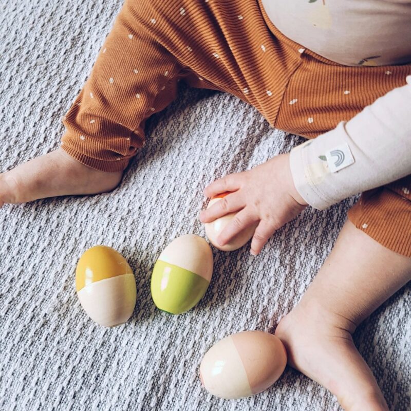 Kõristite komplekt "Munad", 5tk