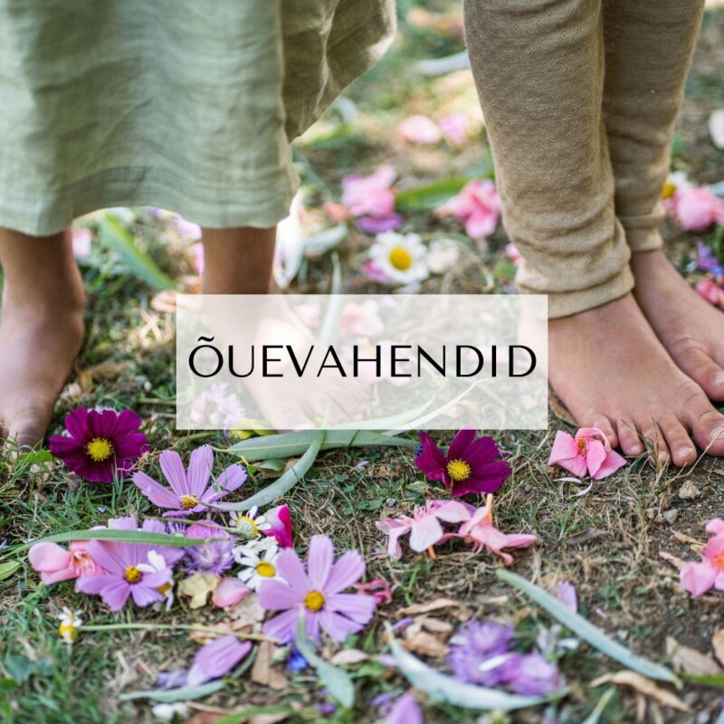 ÕUEVAHENDID