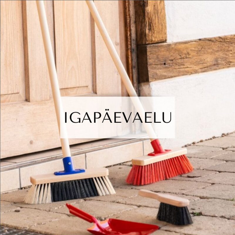IGAPÄEVAELU