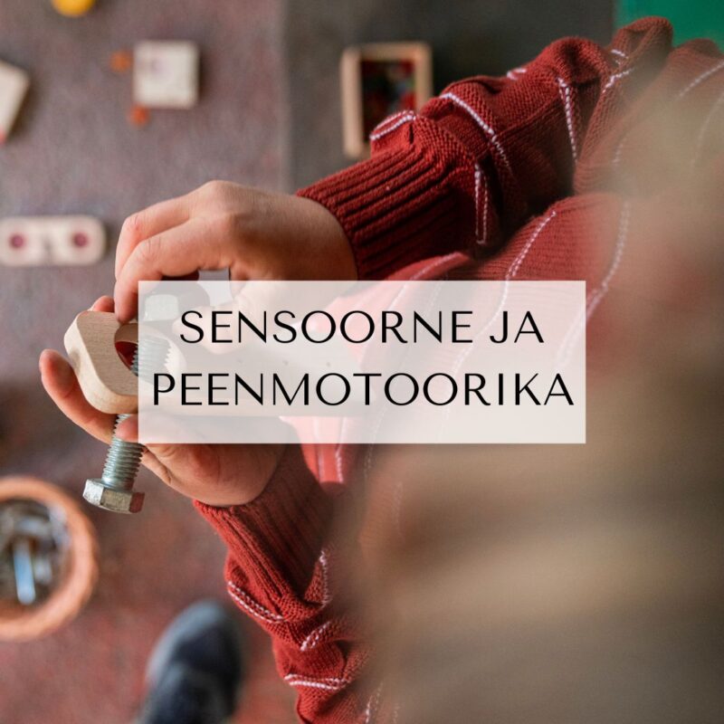 SENSOORNE JA PEENMOTOORIKA