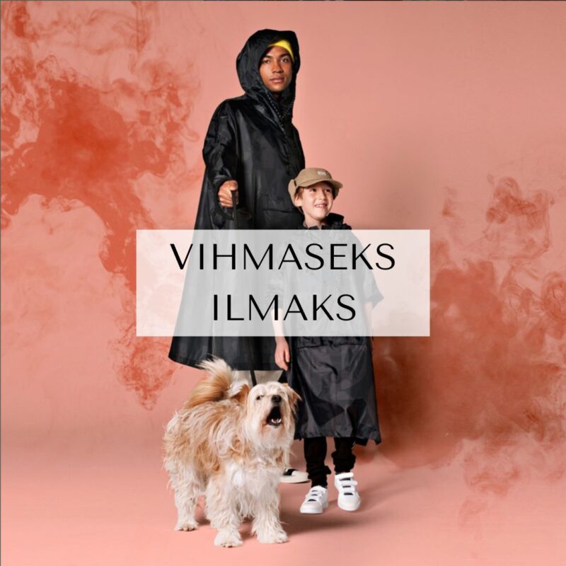 VIHMASEKS ILMAKS