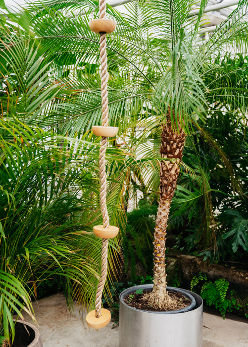 lastele ronimisvahendid