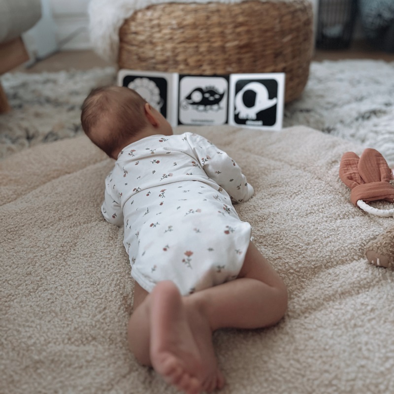 beebidele raaamt voldikraamat mustvalged pildid pappraamat kõvade lehtedega raamat titale