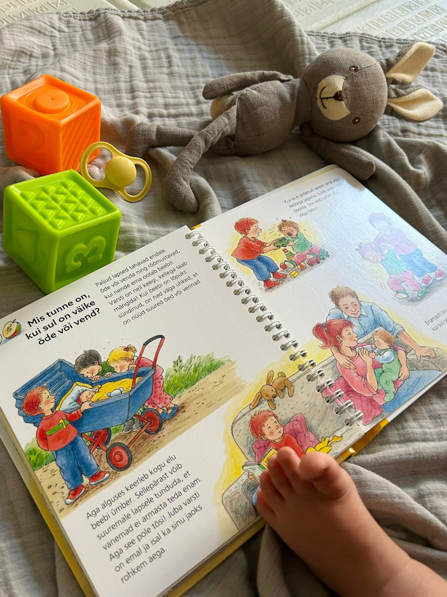 Meie beebi klapiraamat papplehtedega