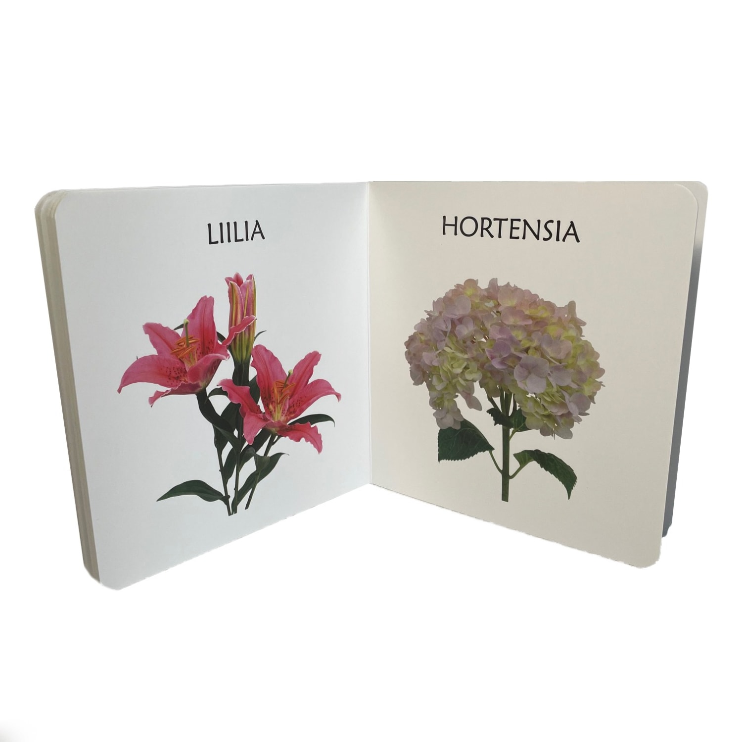 aialilledest realistlike fotodega raamat