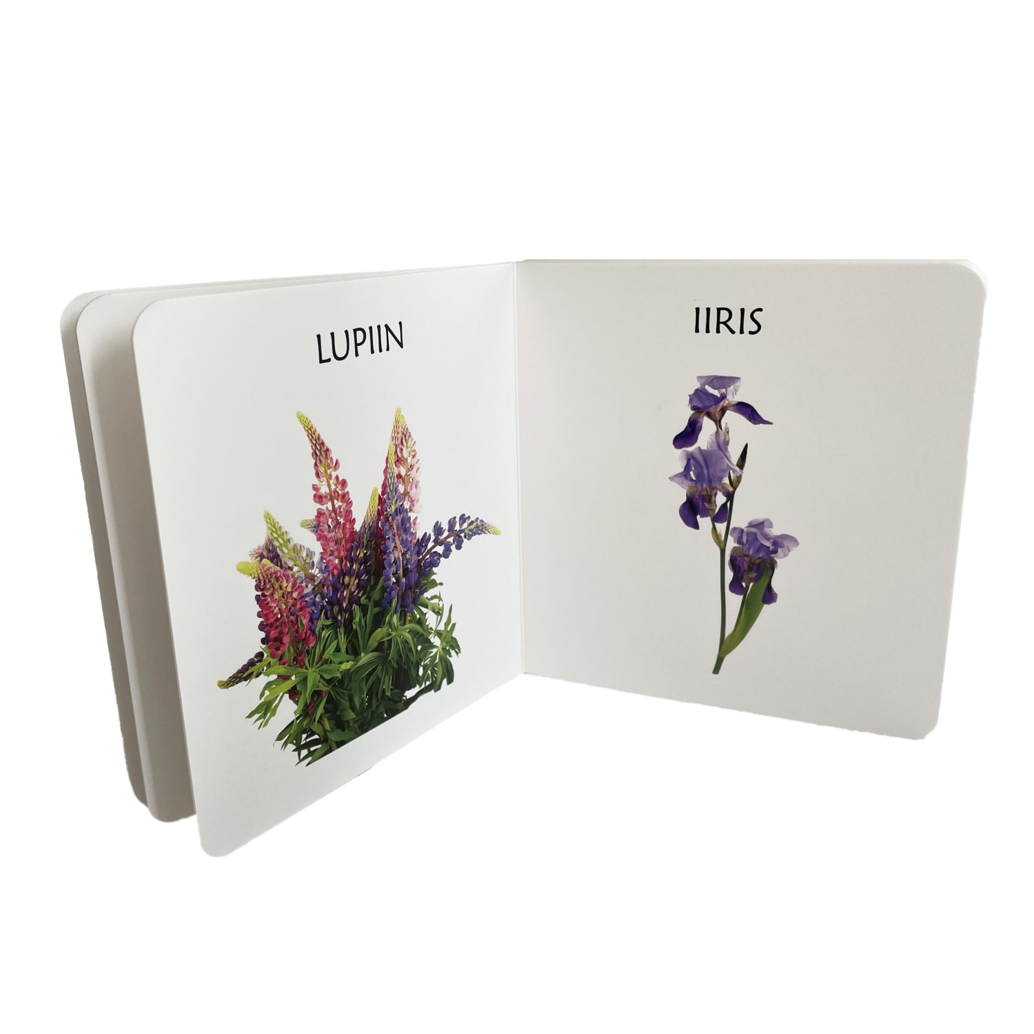 aialilledest realistlike fotodega raamat