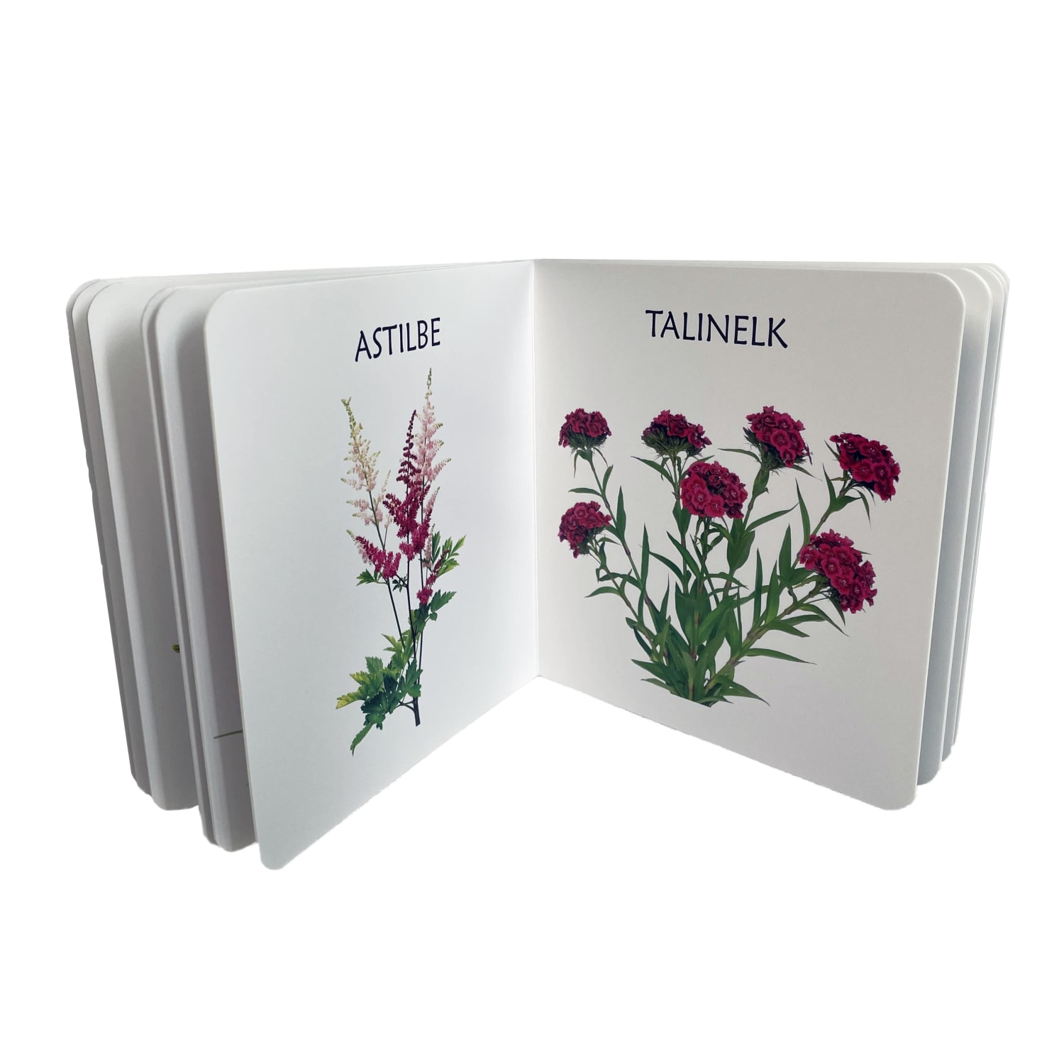 aialilledest realistlike fotodega raamat