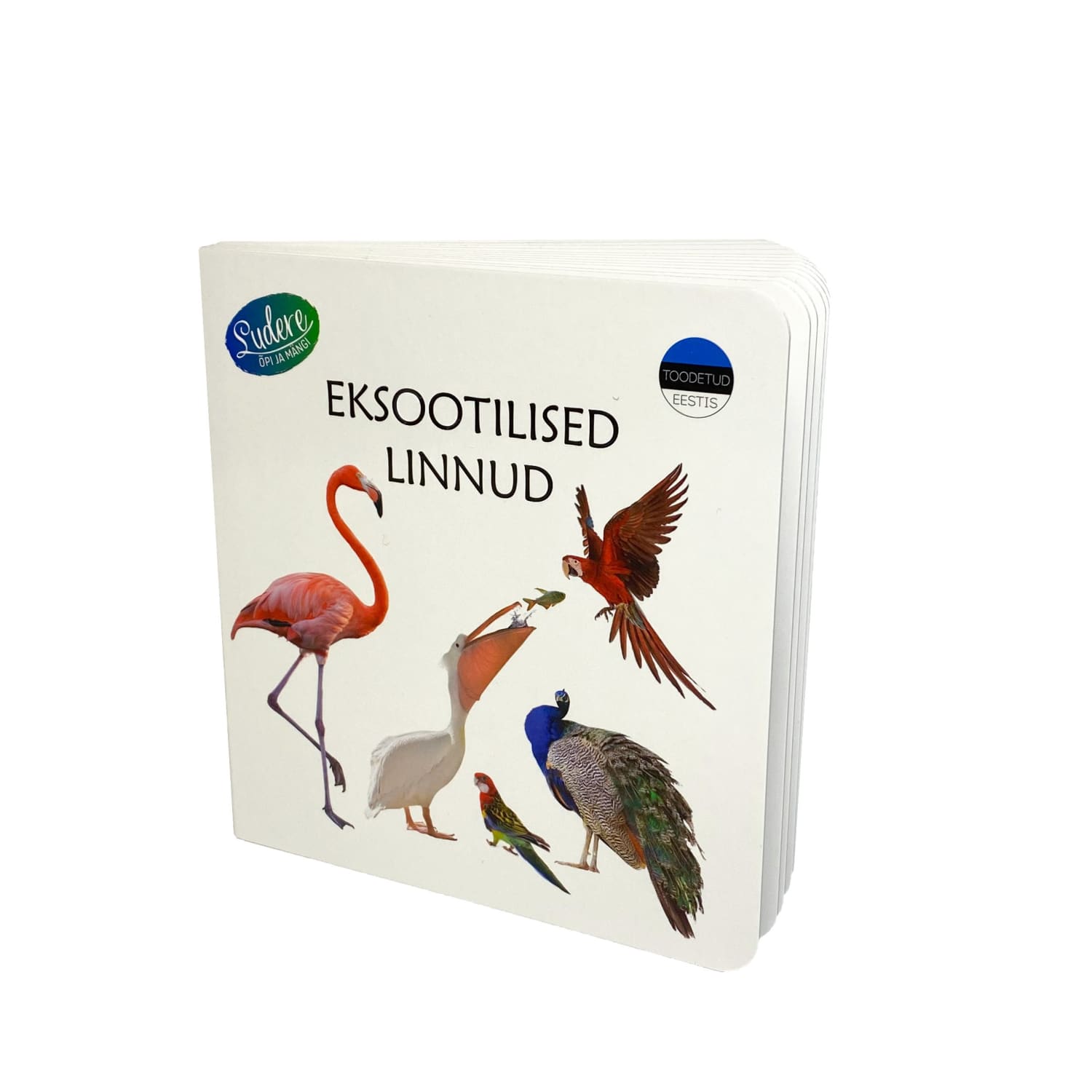 Eksootilistest lindudes realistlike piltidega raamat