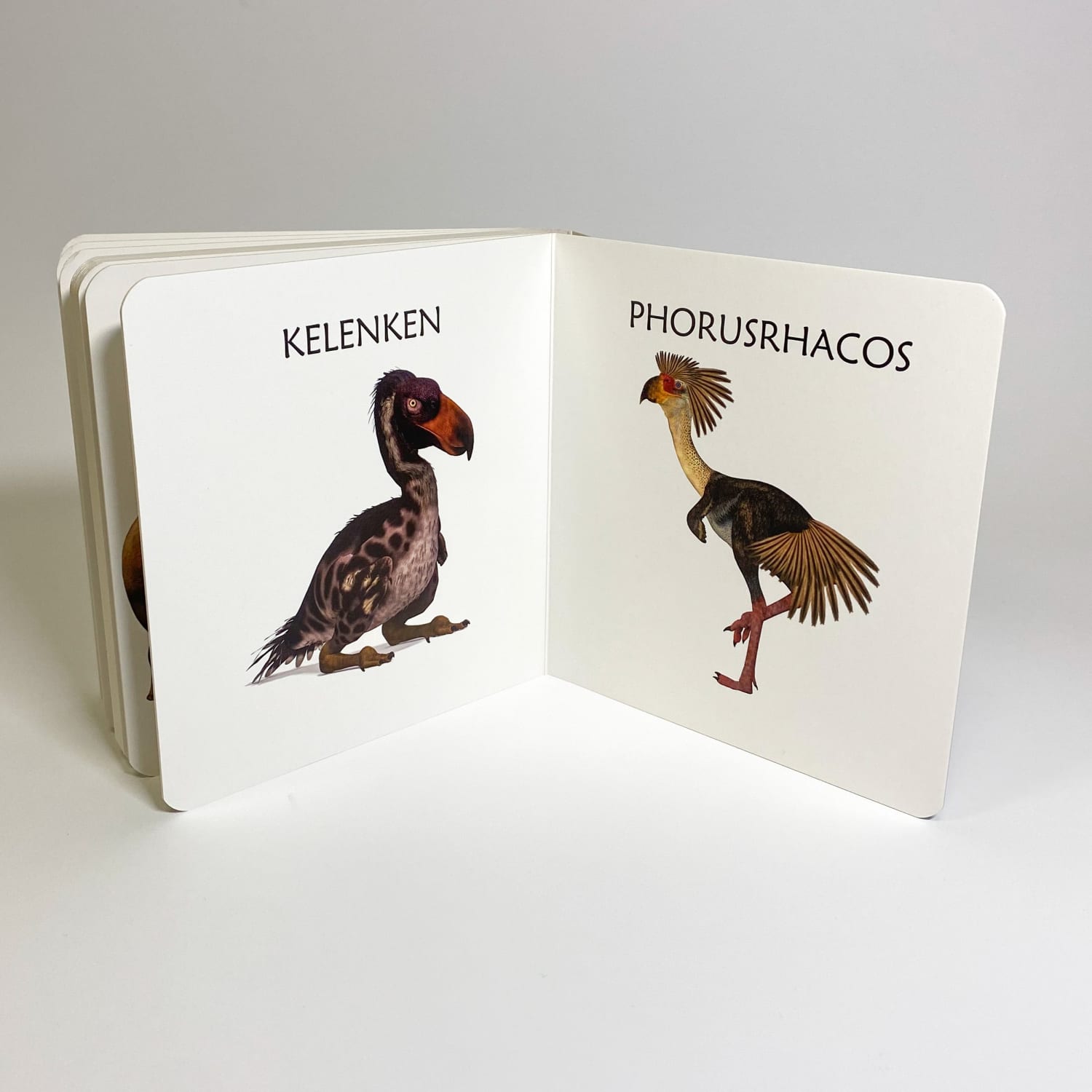 ürgloomadest realistlik raamat