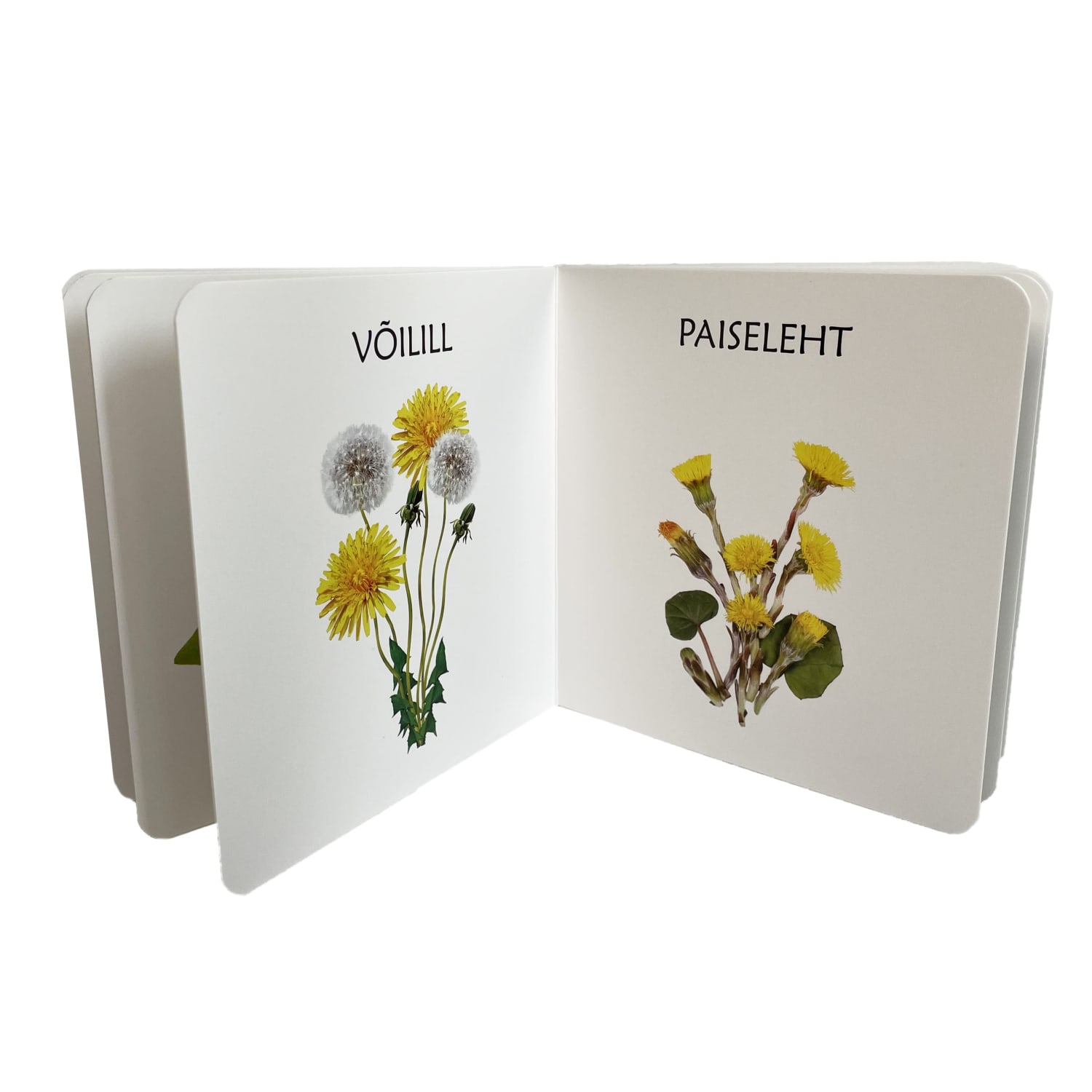 kevadlilledest realistlike fotodega raamat