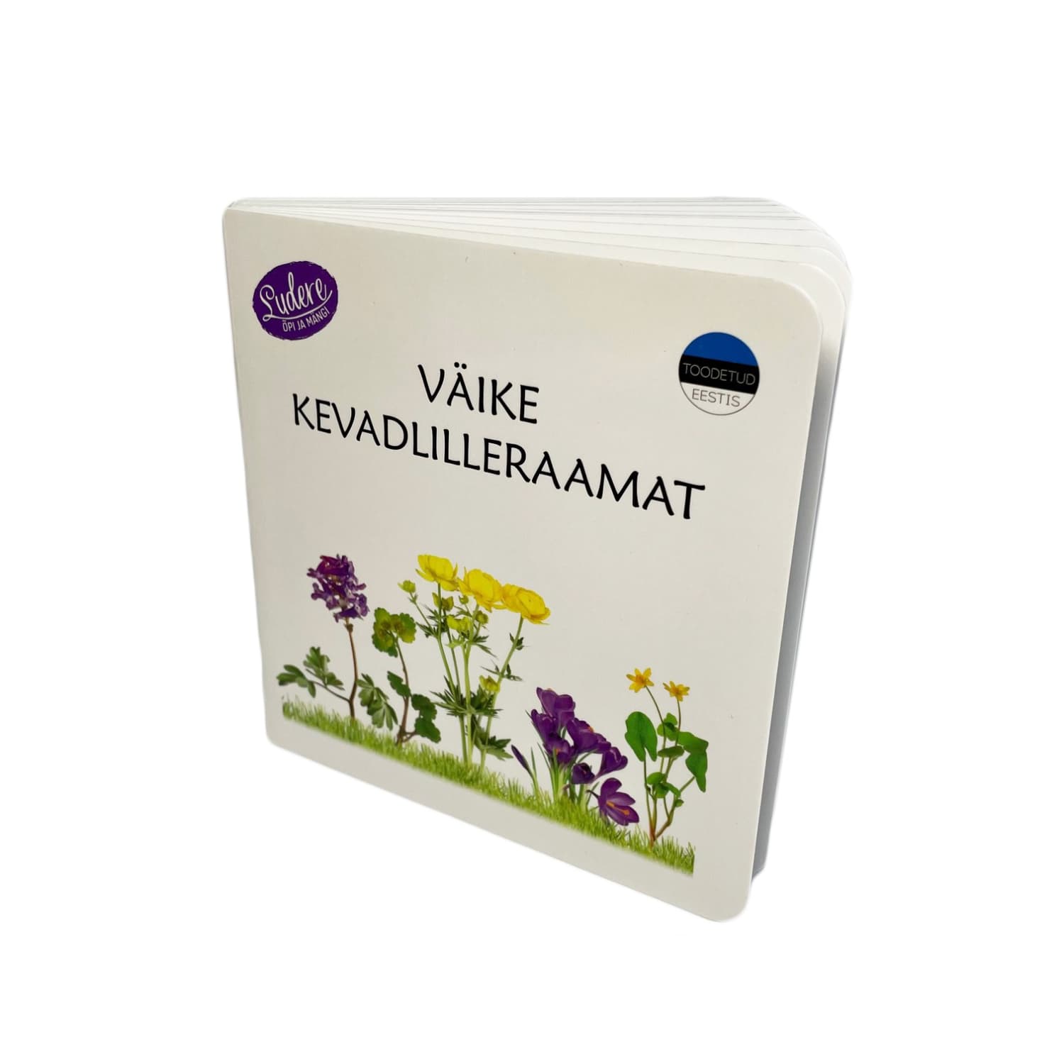 kevadlilledest realistlike fotodega raamat