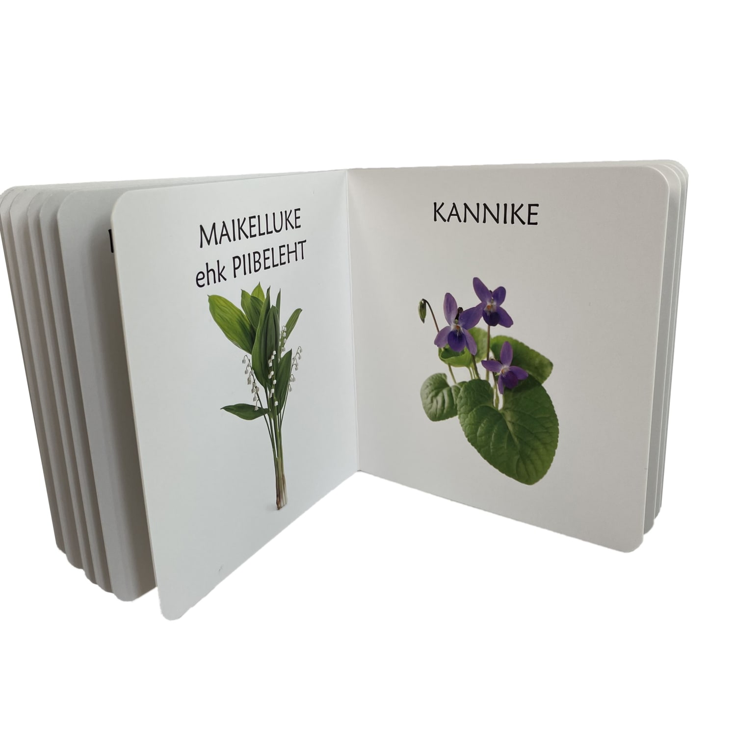 kevadlilledest realistlike fotodega raamat