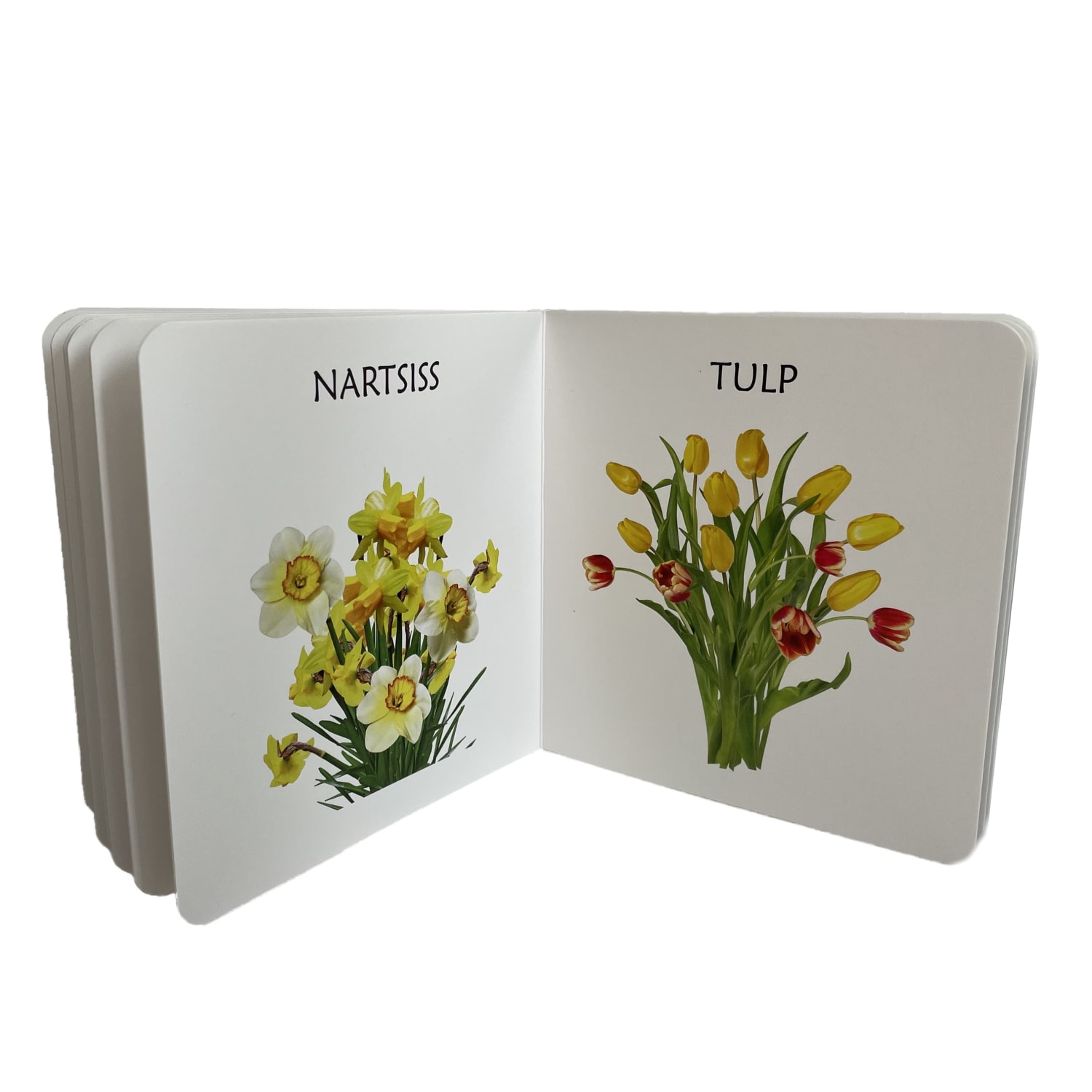 kevadlilledest realistlike fotodega raamat