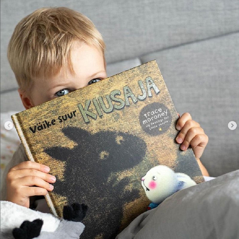 suur väike kiusaja emotsioonid tunnete raamat