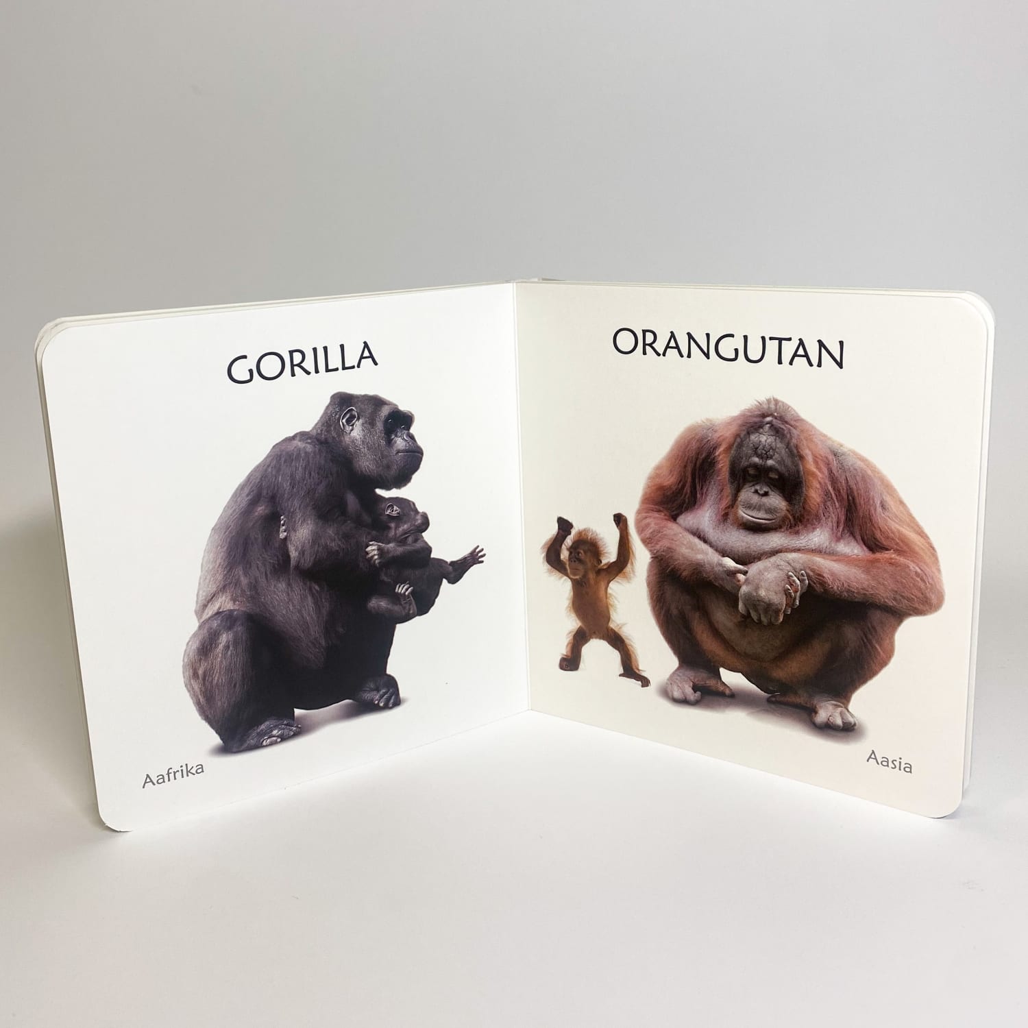 eksootilistest loomadest realistlik raamat