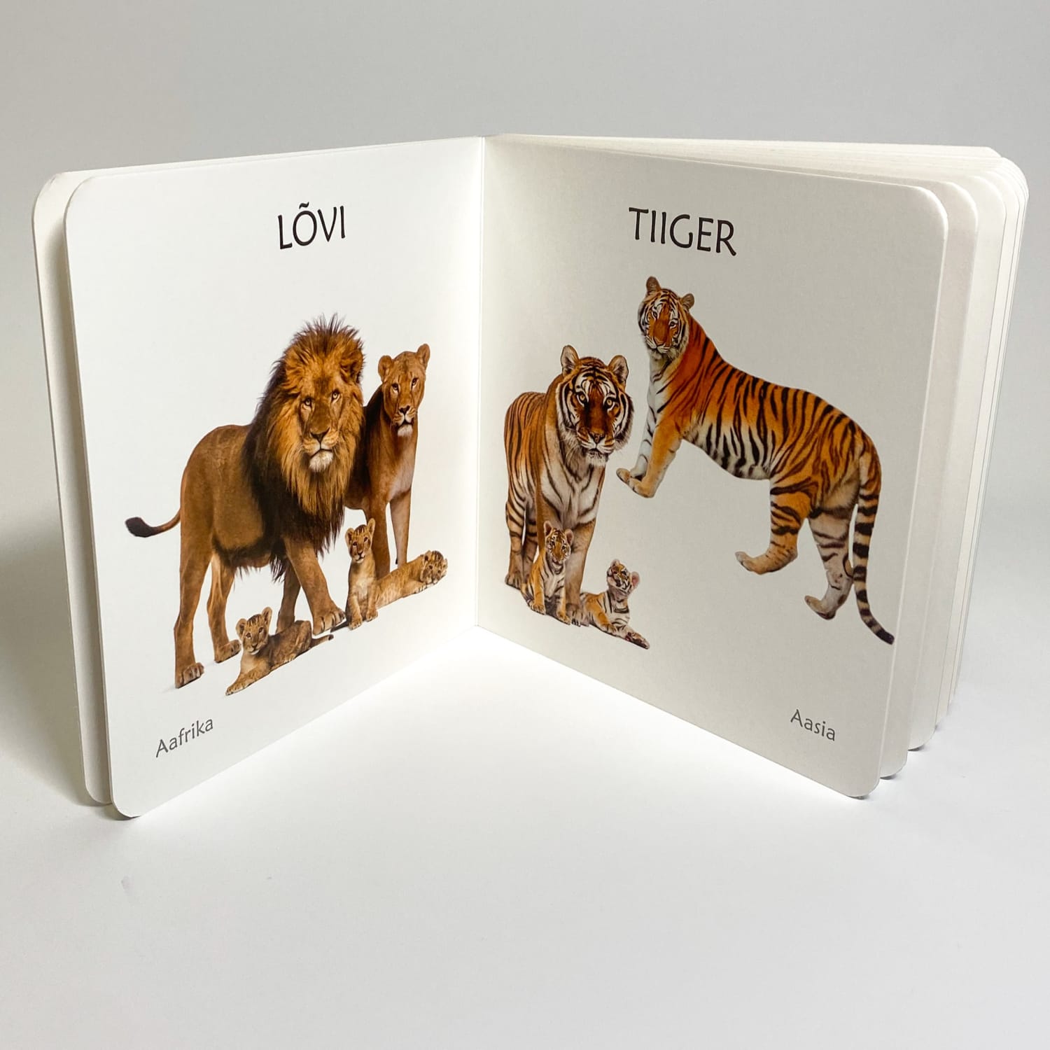 Eksootliste loomade fotodega realistlik raamat