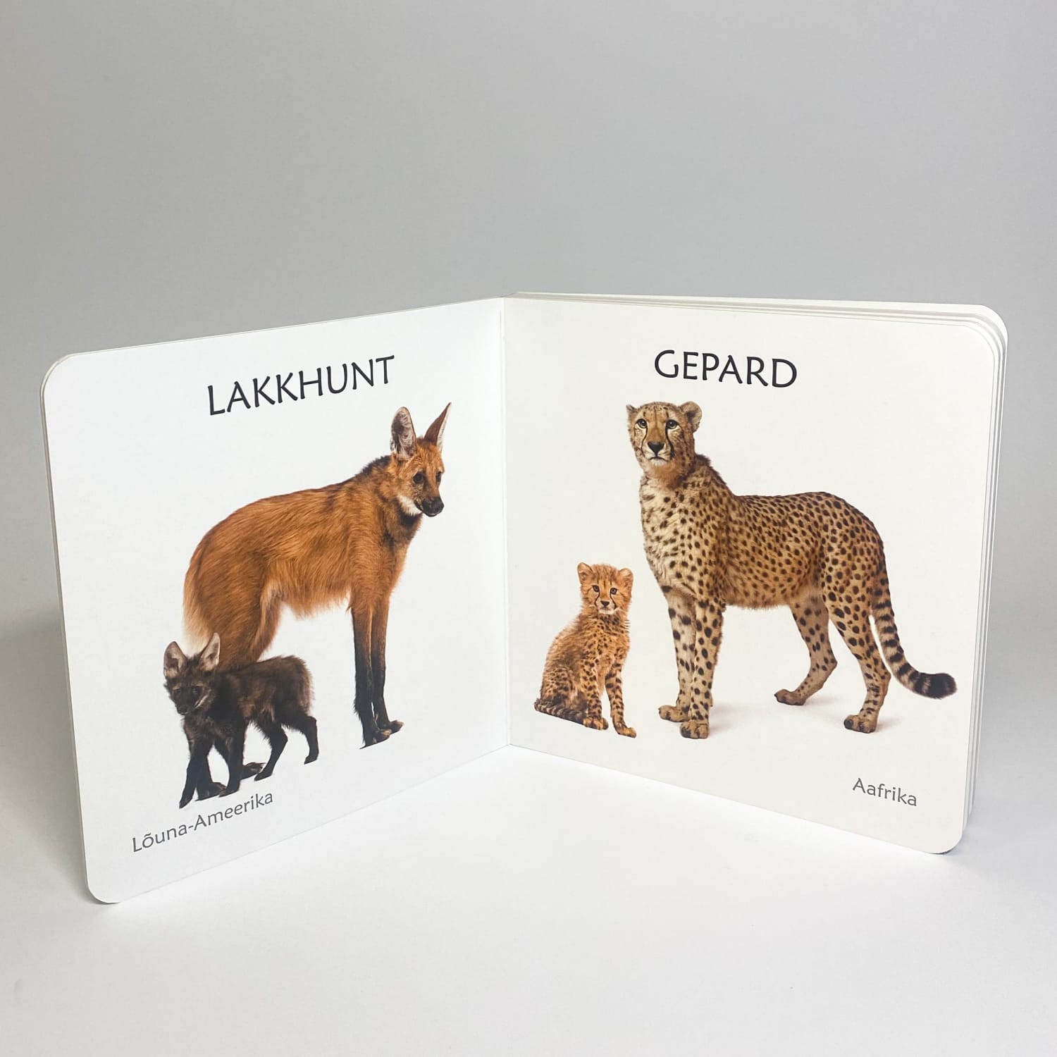 eksootilistest loomadest realistlik raamat